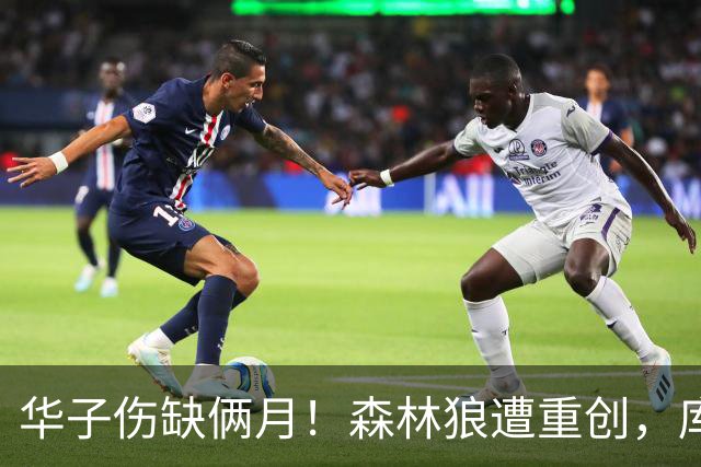 华子伤缺俩月！森林狼遭重创，库明加又要开始放开瞎抡了？
